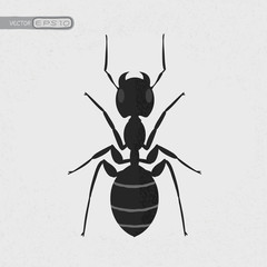 Black ant , eps10 vector format