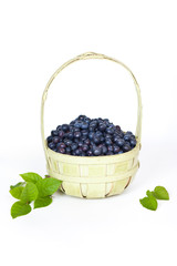 Blueberries in a basket