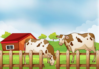 A farm with two cows inside the fence