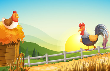 A hen and a rooster in the farm © GraphicsRF