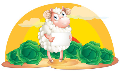 A sheep holding an empty signboard