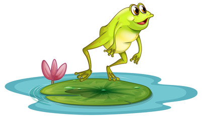 Fototapeta premium A frog at the pond