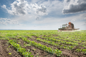 Obraz premium Tractor spraying soy