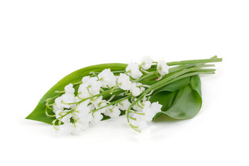 Blooming Lily of the valley