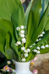 Obraz premium Blooming Lily of the valley in spring garden