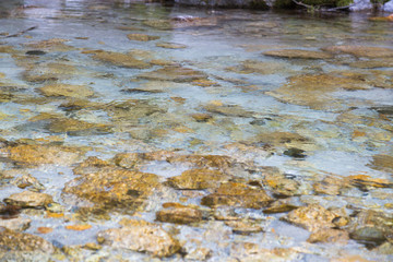 透明度の高い川