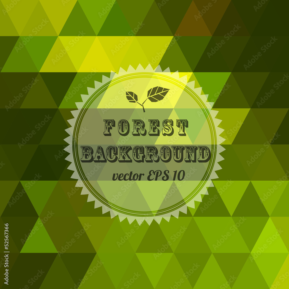 Poster Colorful vector geometric background with triangles