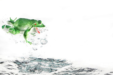 Frosch springt ins Wasser