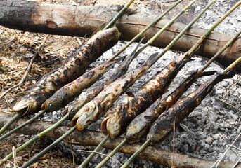 Rustic grilled fish on nature at countryside