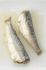 Sardinas en aceite vegetal