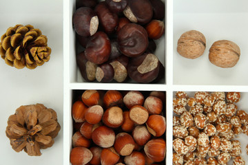 Assortment of nuts,chestnut, pinecone and acorn in white wooden
