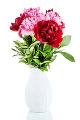 Beautiful peonies isolated on white