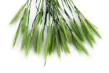 Many spikelets isolated on white © Africa Studio