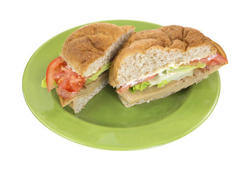 Tofu turkey sandwich on green plate