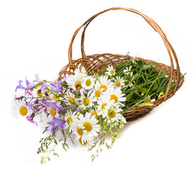 Fototapeta na wymiar basket with wild flowers on white background