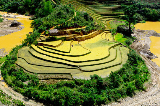 terraced rice fields with water in Mu Cang Chai, Vietnam