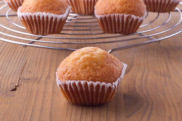 Fresh baked muffins