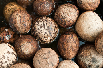 closeup of stack coconut shell