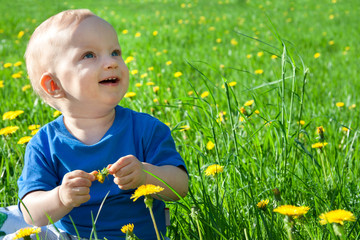 the kid on a summer meadow