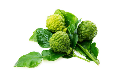 Obraz premium Fresh green lime. Kafir