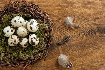 Obraz premium birds eggs in nest on wooden background