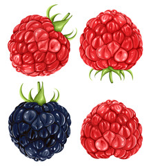 Raspberries