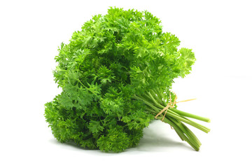 parsley on white background