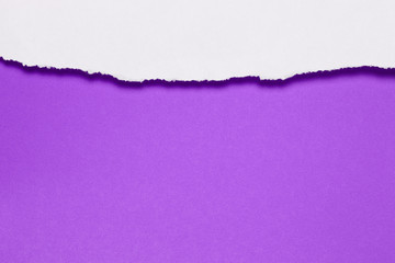 Papierfransen, horizontal oben, weiss, violett