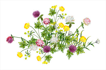Beautiful composition of wild flowers