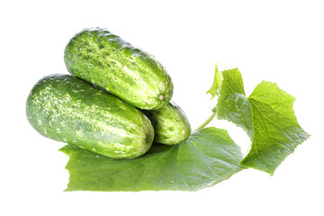 Cucumbers on white background with green leaf