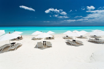 The beach