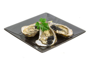 Oysters with black cavair