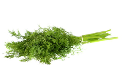 bunch of dill isolated on white background