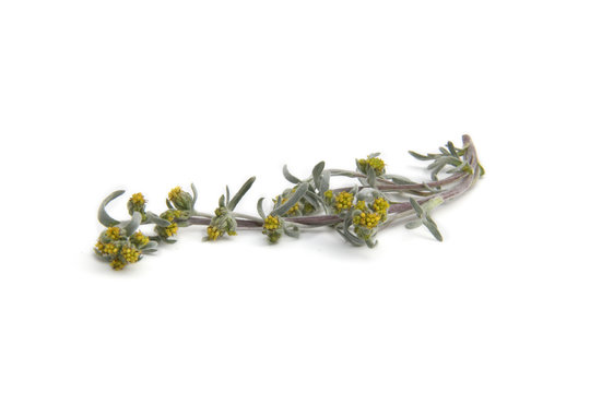 g&eacute;n&eacute;pi