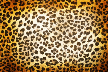 Cheetah pattern