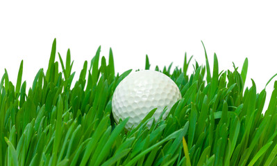 White golf ball in the long grass