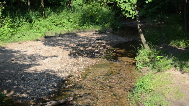 park stream brook water flow pebble stones and green flora