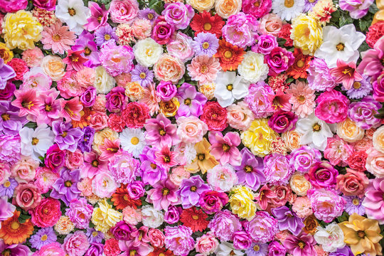 Ściana kwiatów © voro