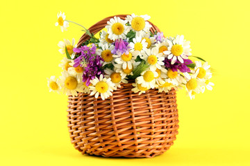 Beautiful wild flowers in basket, on yellow background