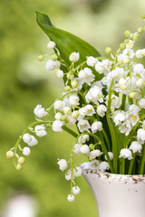 Lilly of the valley flowers in white rustic vase