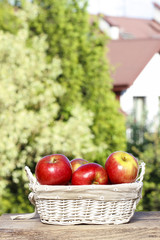 Basket of red ripe apples on a wooden table in the garden.