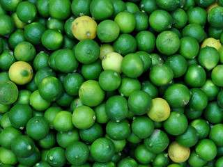 Limes