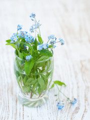 Bunch of forget-me-nots flowers