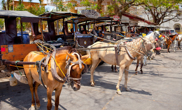 horse drawn carriage in the old spanish town in vigan, south ilocos