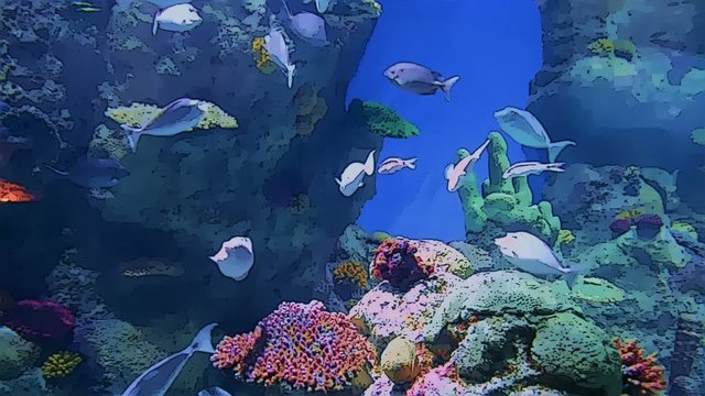 aquarium life in cartoon form