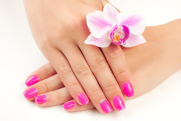 Obraz na płótnie Canvas manicure with orchid flower. isolated