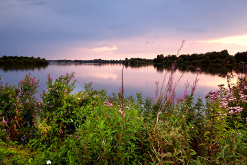 Fototapeta na wymiar summer wildflowers by lake at sunset