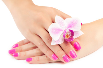 manicure with orchid flower. isolated
