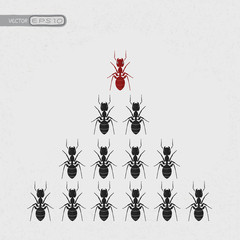 Ant leader , eps10 vector format