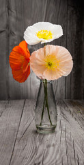 Bouquet of colorful poppies on wooden table